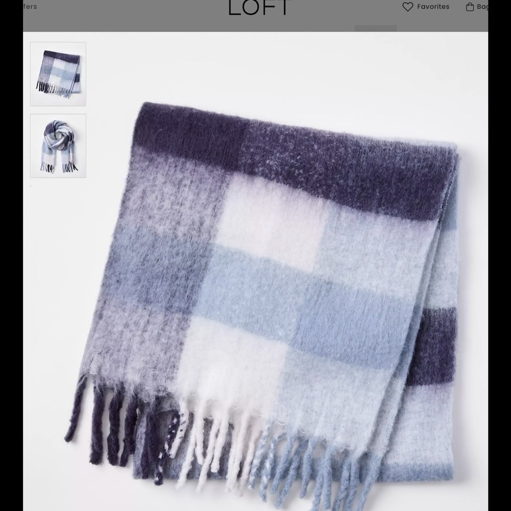 LOFT Blue and White Fringe Scarf